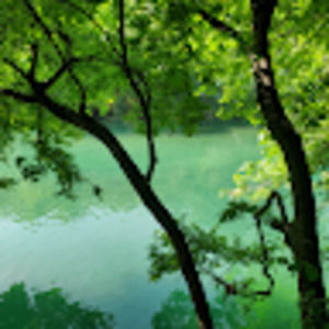 Meet your Posher, Molly